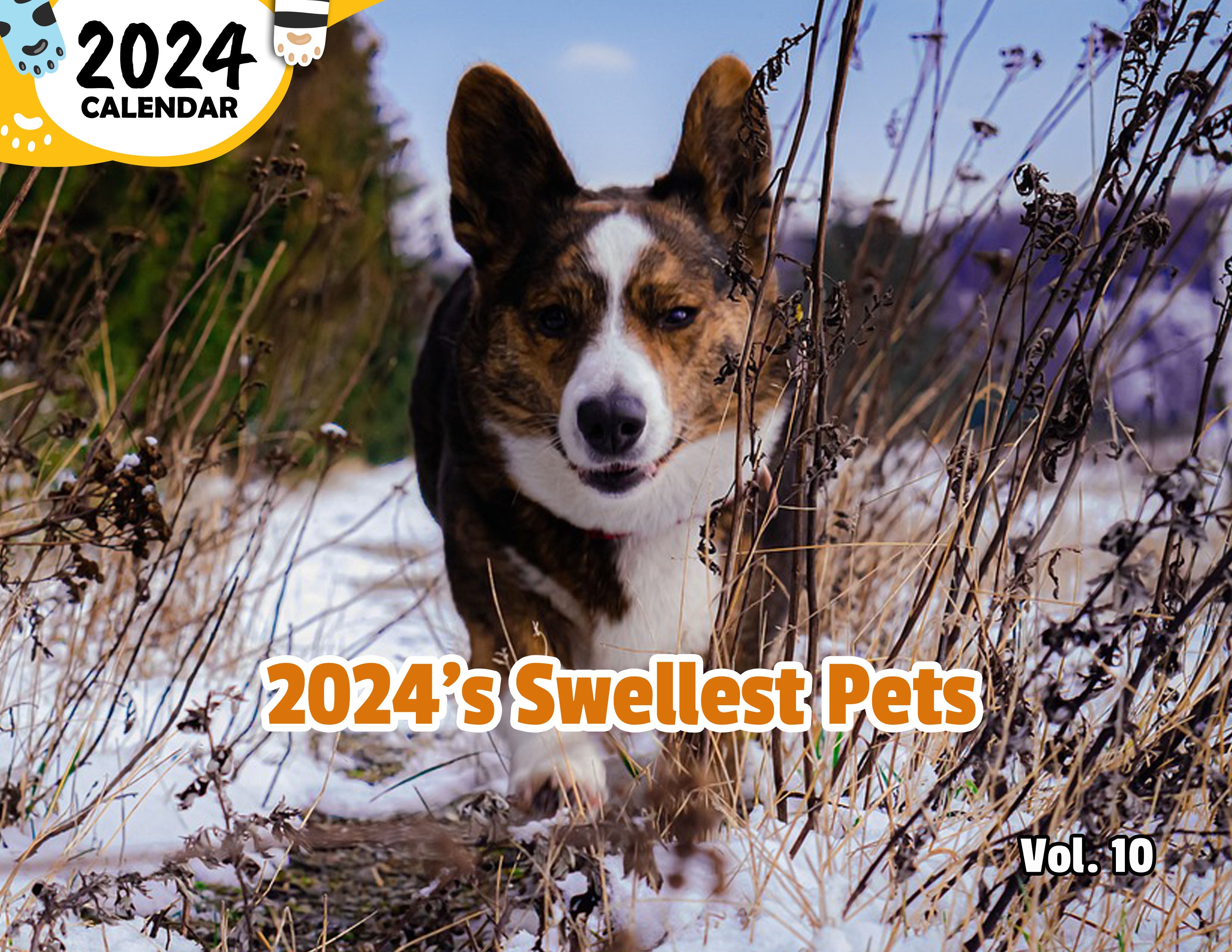 2024's Swellest Pets Volume Ten: 2024 Wall Calendar (Published)