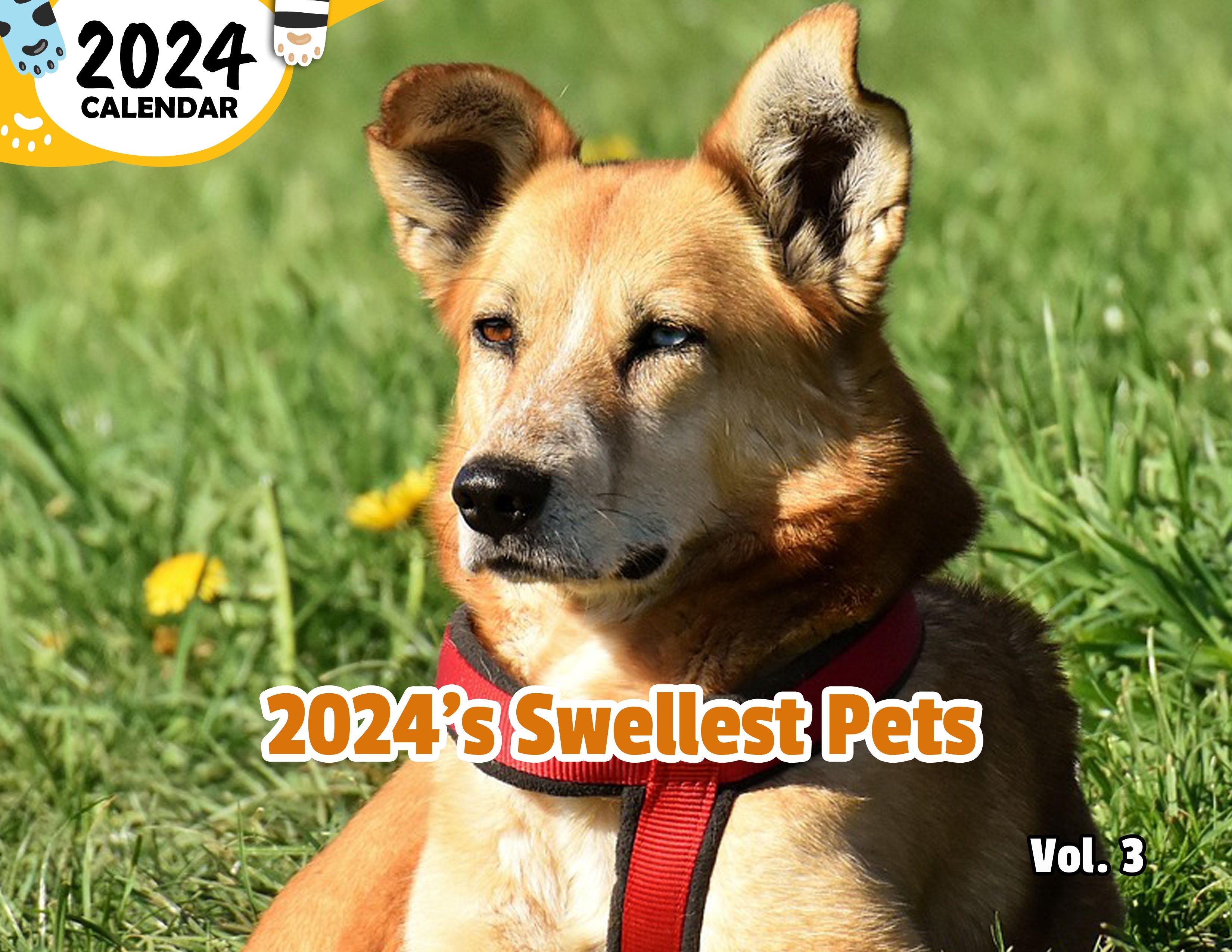 2024's Swellest Pets Volume Three: 2024 Wall Calendar (Published)