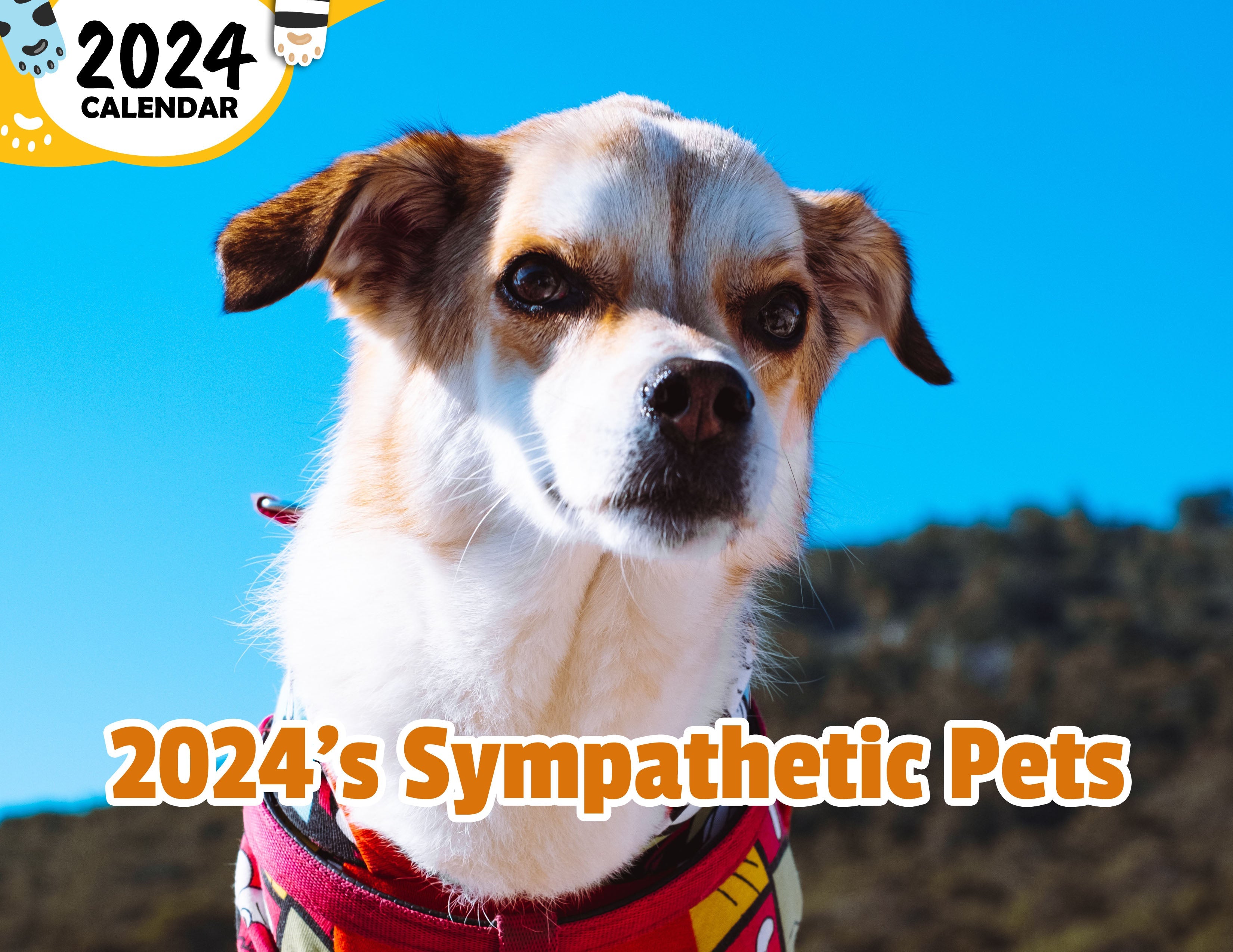 2024's Sympathetic Pets: 2024 Wall Calendar (Published)