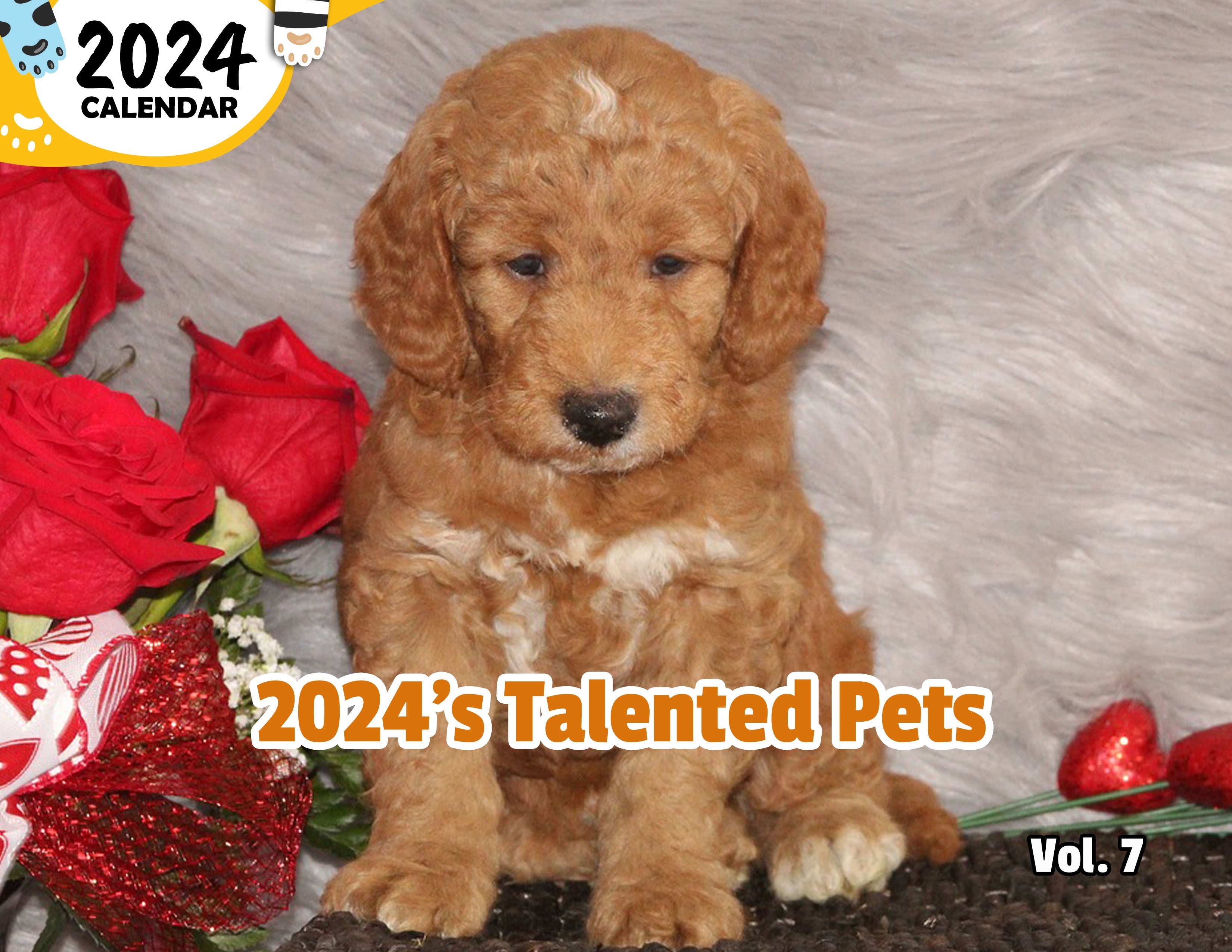 2024's Talented Pets Volume Seven: 2024 Wall Calendar (Published)