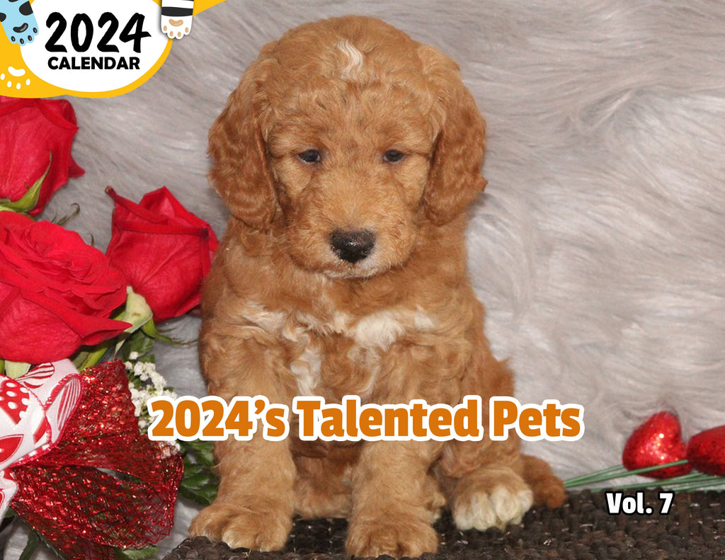2024's Talented Pets Volume Seven: 2024 Wall Calendar (Published)