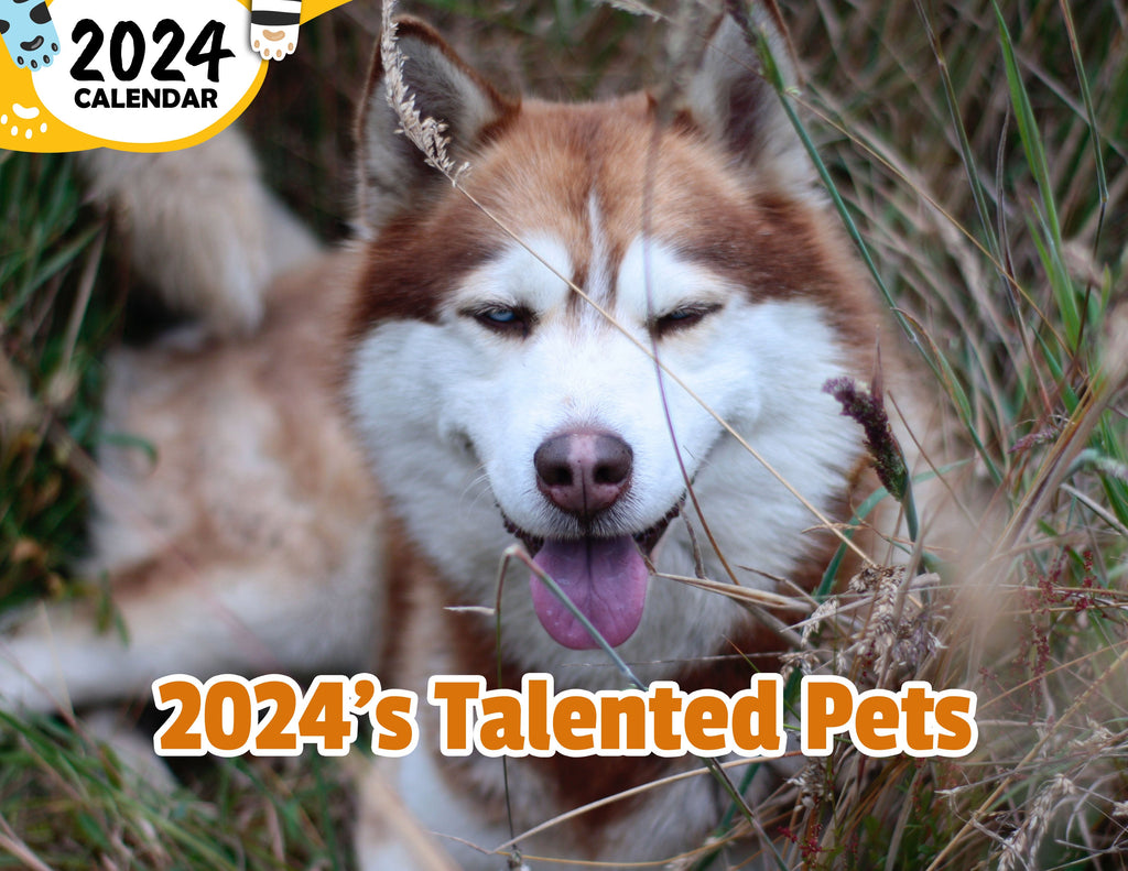 2024's Talented Pets: 2024 Wall Calendar (Published)