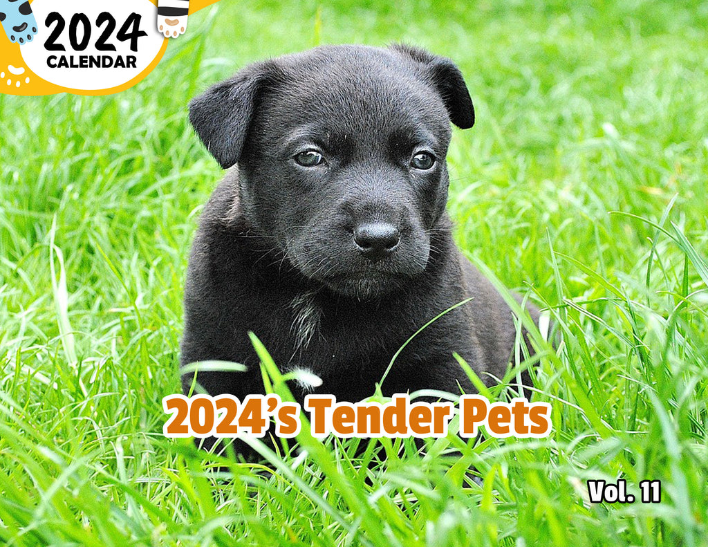 2024's Tender Pets Volume Eleven: 2024 Wall Calendar (Published)