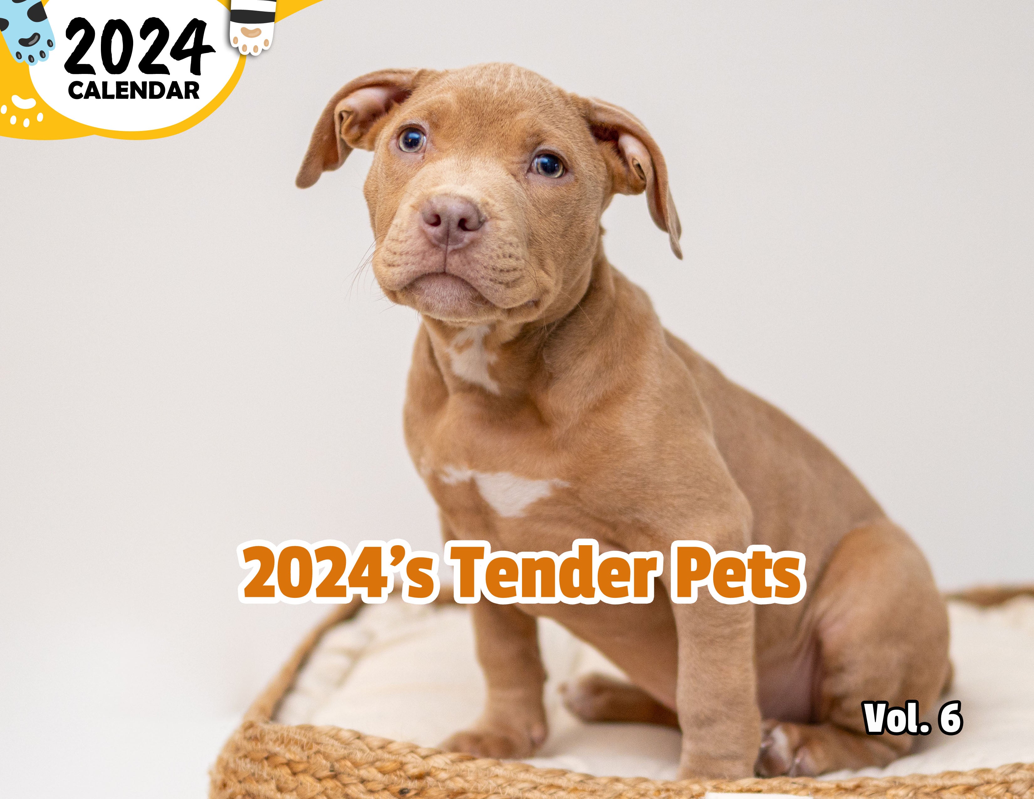 2024's Tender Pets Volume Six: 2024 Wall Calendar (Published)