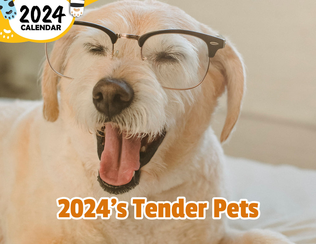 2024's Tender Pets: 2024 Wall Calendar (Published)