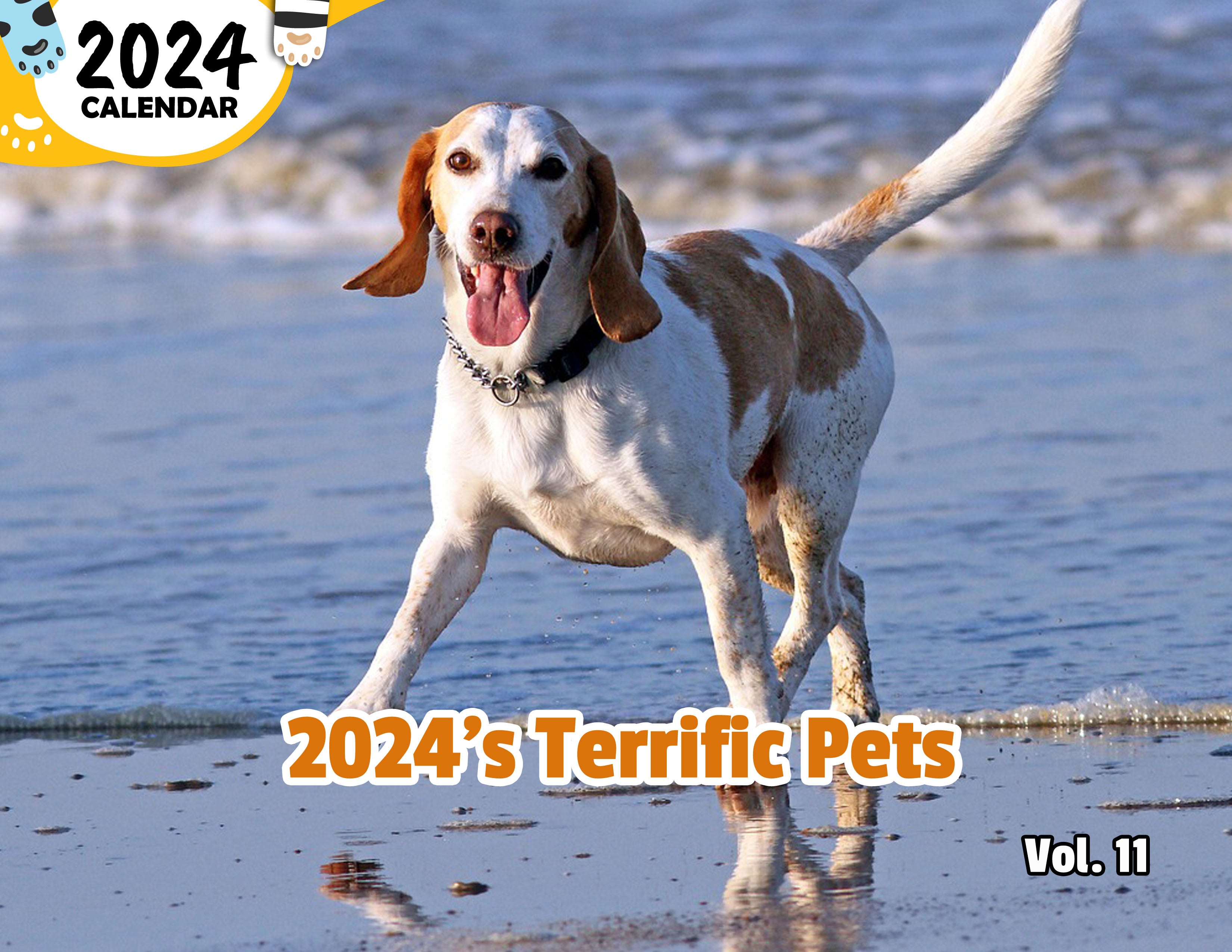 2024's Terrific Pets Volume Eleven: 2024 Wall Calendar (Published)