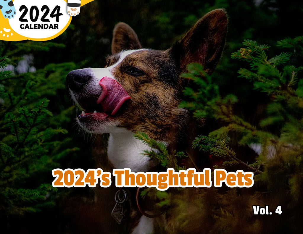 2024's Thoughtful Pets Volume Four: 2024 Wall Calendar (Published)