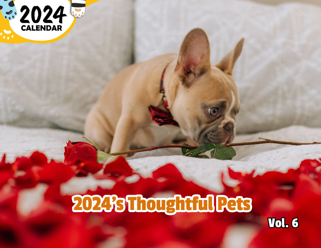 2024's Thoughtful Pets Volume Six: 2024 Wall Calendar (Published)