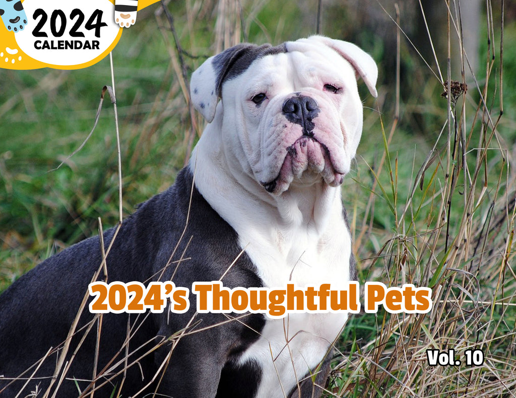 2024's Thoughtful Pets Volume Ten: 2024 Wall Calendar (Published)