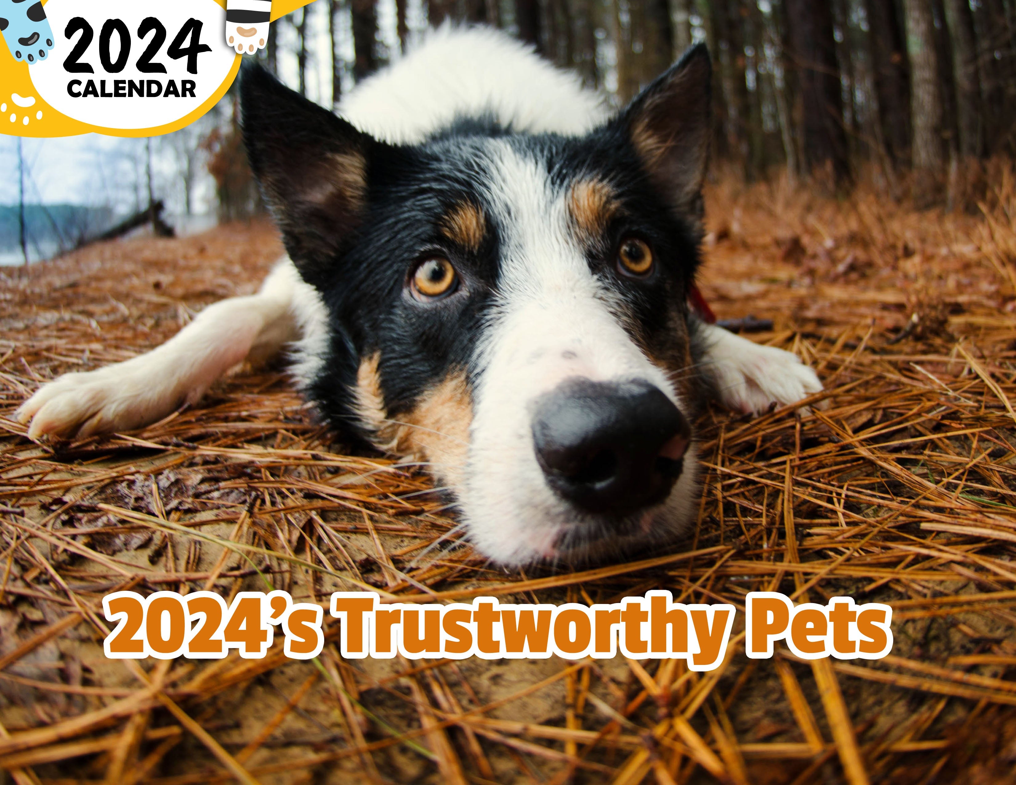 2024's Trustworthy Pets: 2024 Wall Calendar (Published)