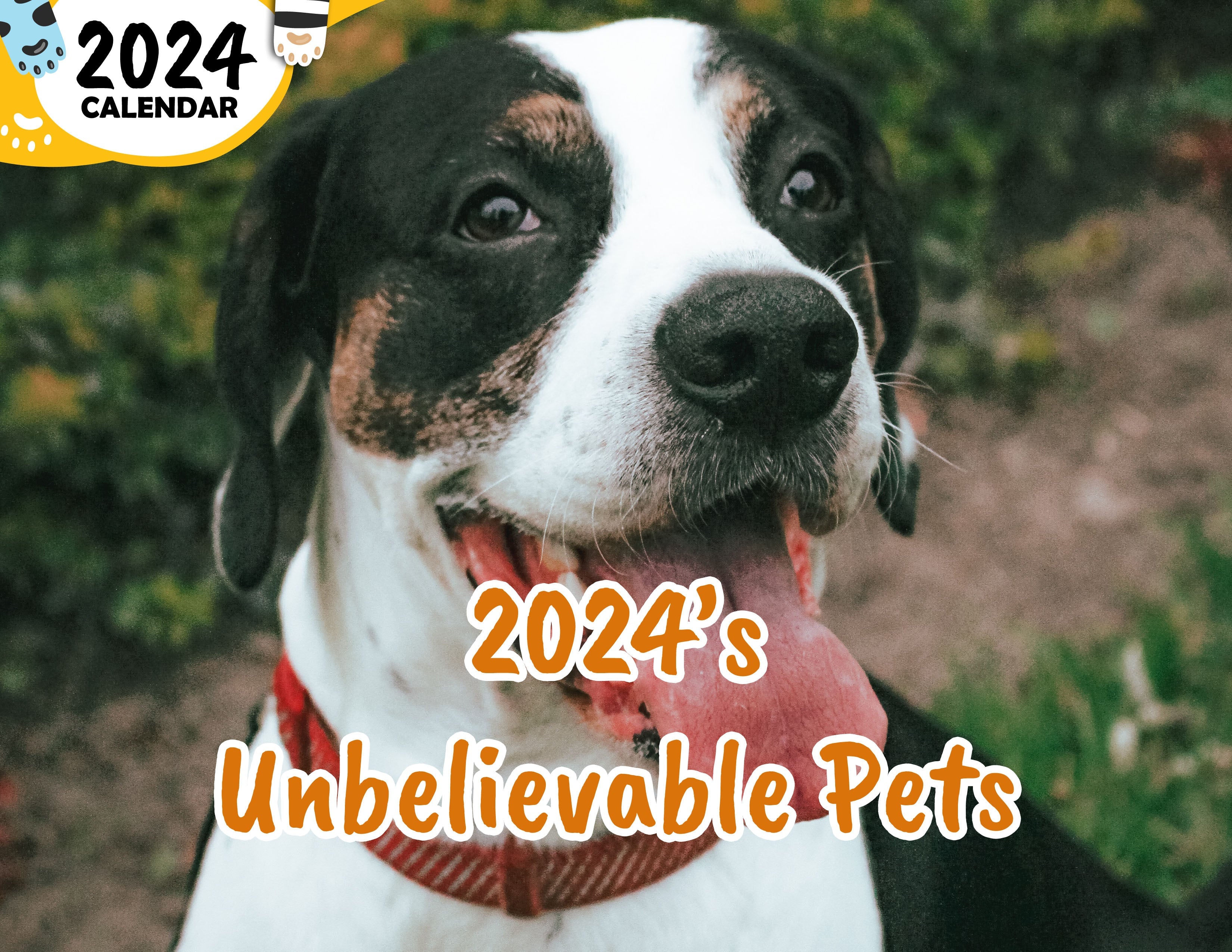 2024's Unbelievable Pets: 2024 Wall Calendar (Published)
