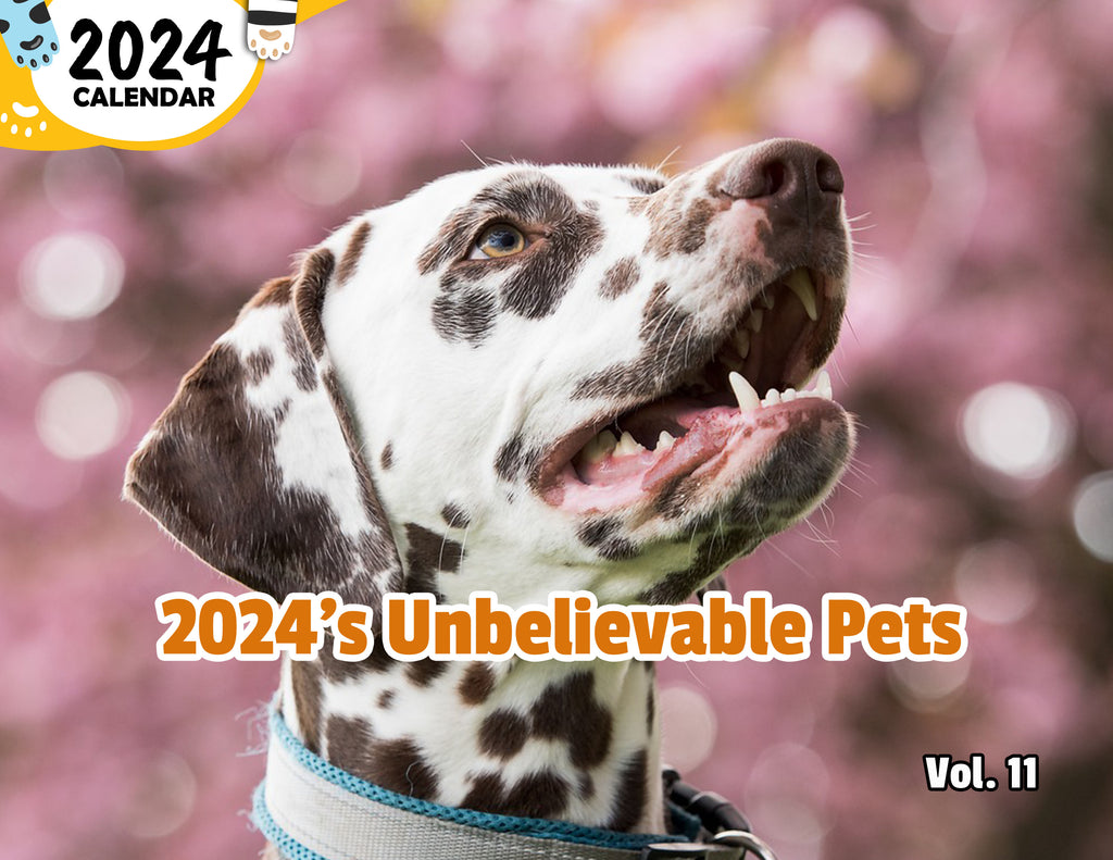 2024's Unbelievable Pets Volume Eleven: 2024 Wall Calendar (Published)
