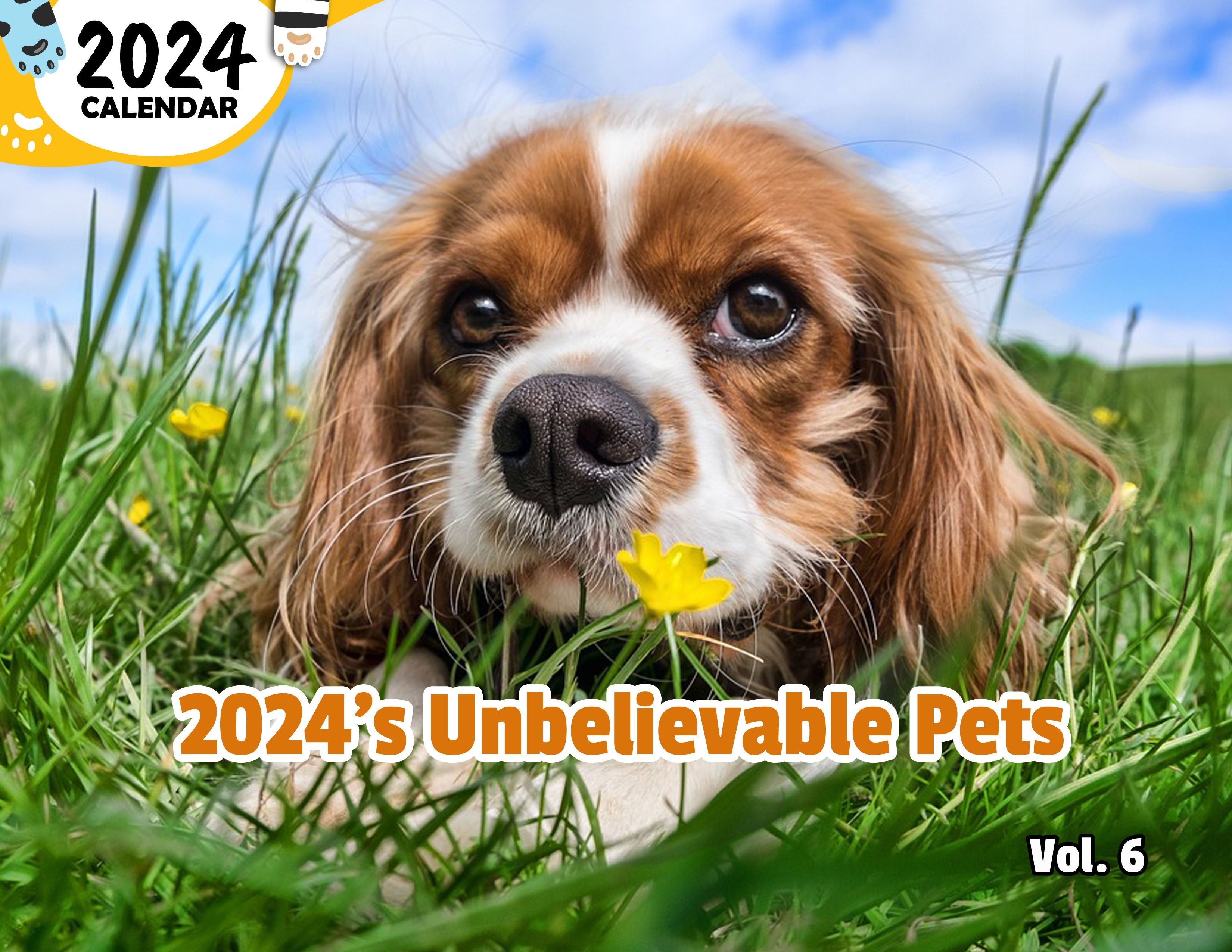 2024's Unbelievable Pets Volume Six: 2024 Wall Calendar (Published)