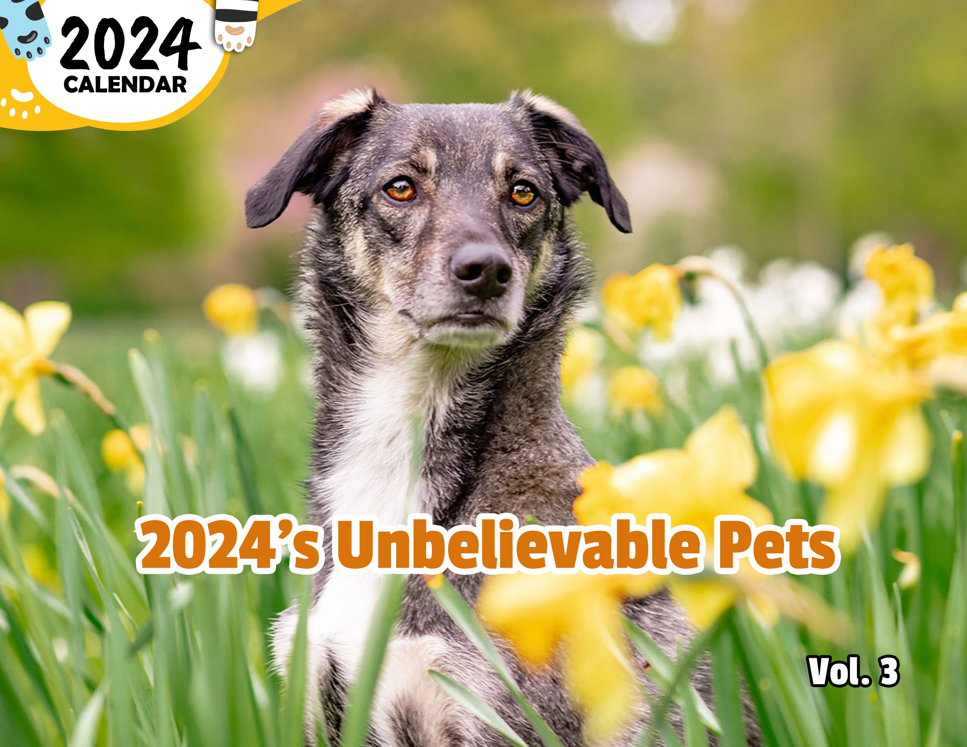 2024's Unbelievable Pets Volume Three: 2024 Wall Calendar (Published)