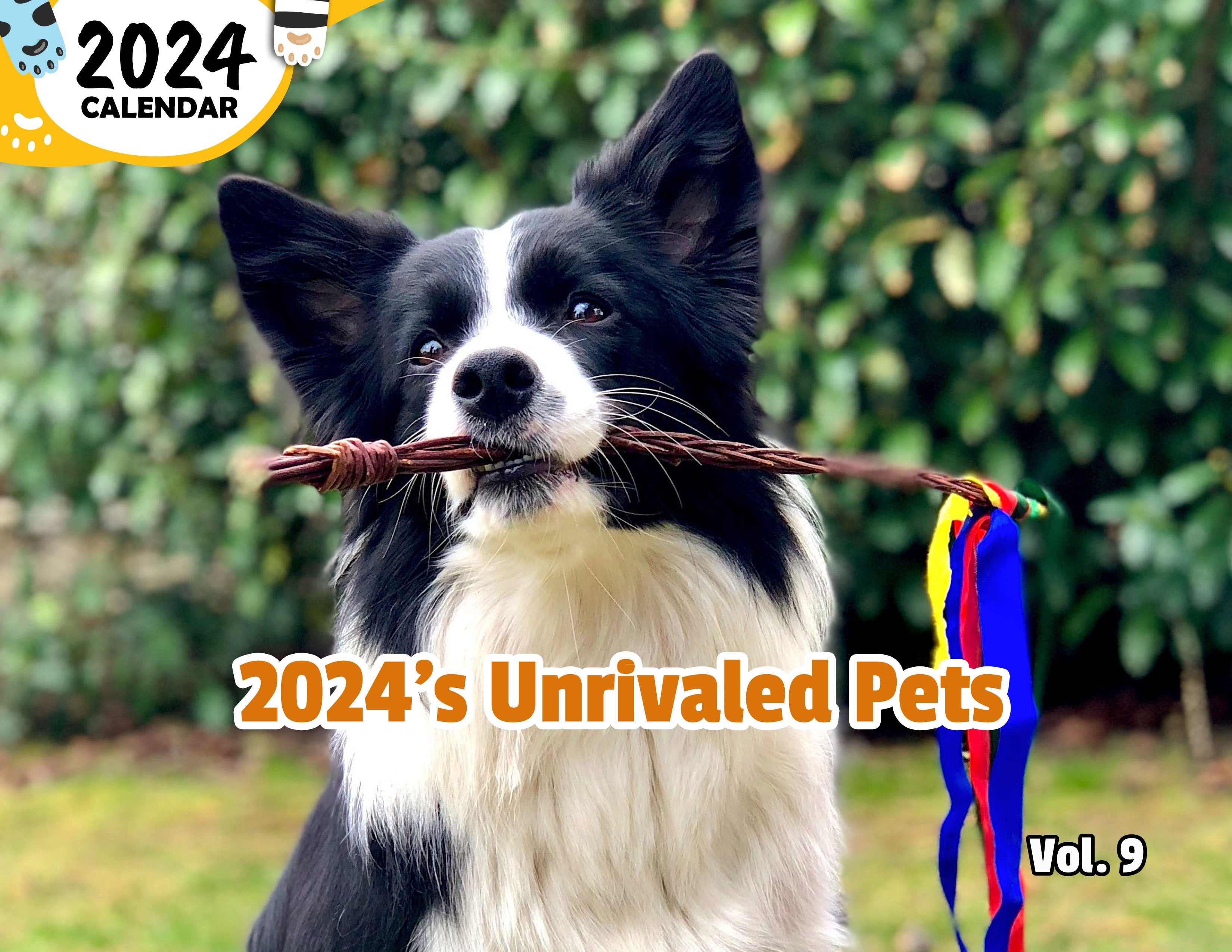 2024's Unrivaled Pets Volume Nine: 2024 Wall Calendar (Published)