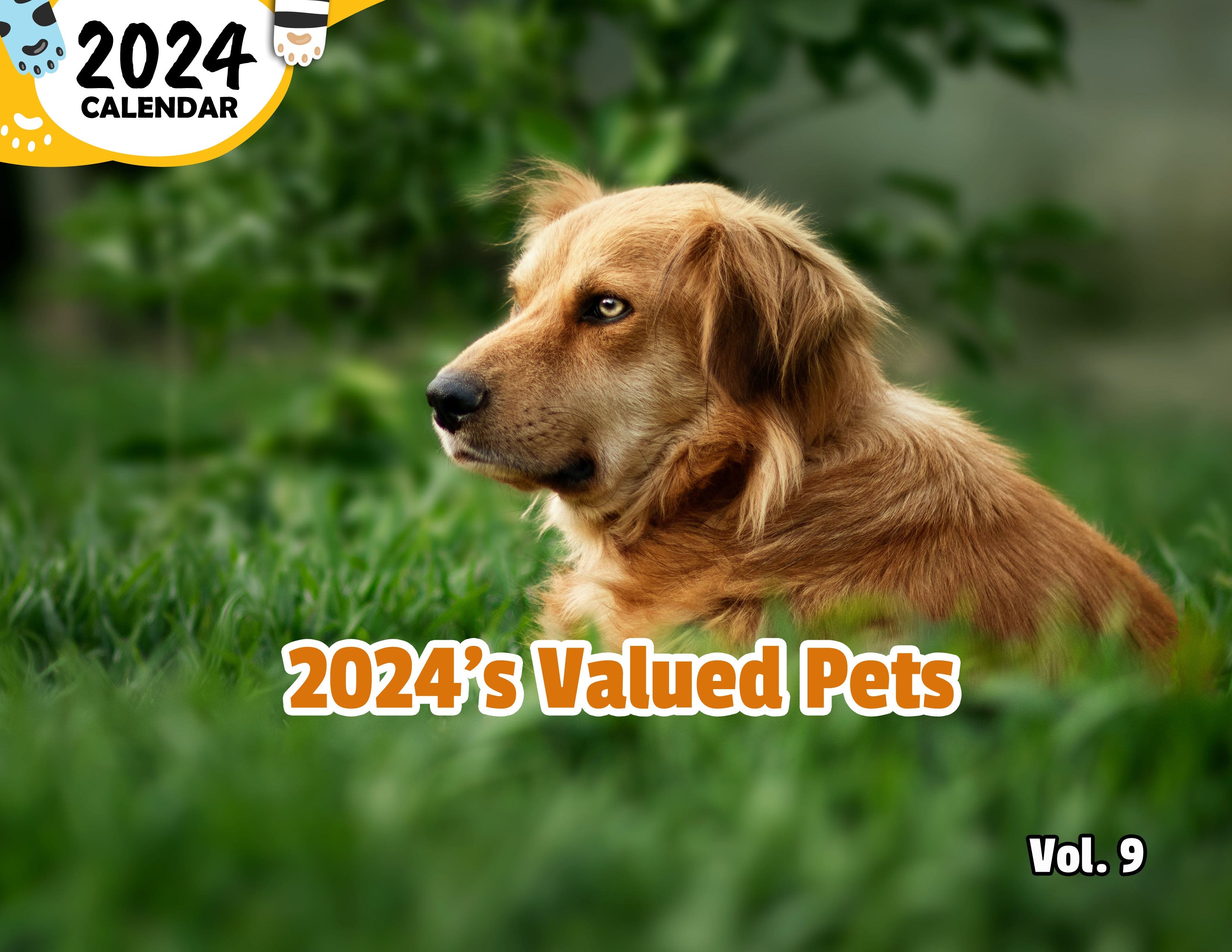 2024's Valued Pets Volume Nine: 2024 Wall Calendar (Published)