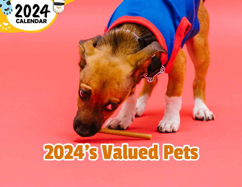 2024's Valued Pets: 2024 Wall Calendar (Published)