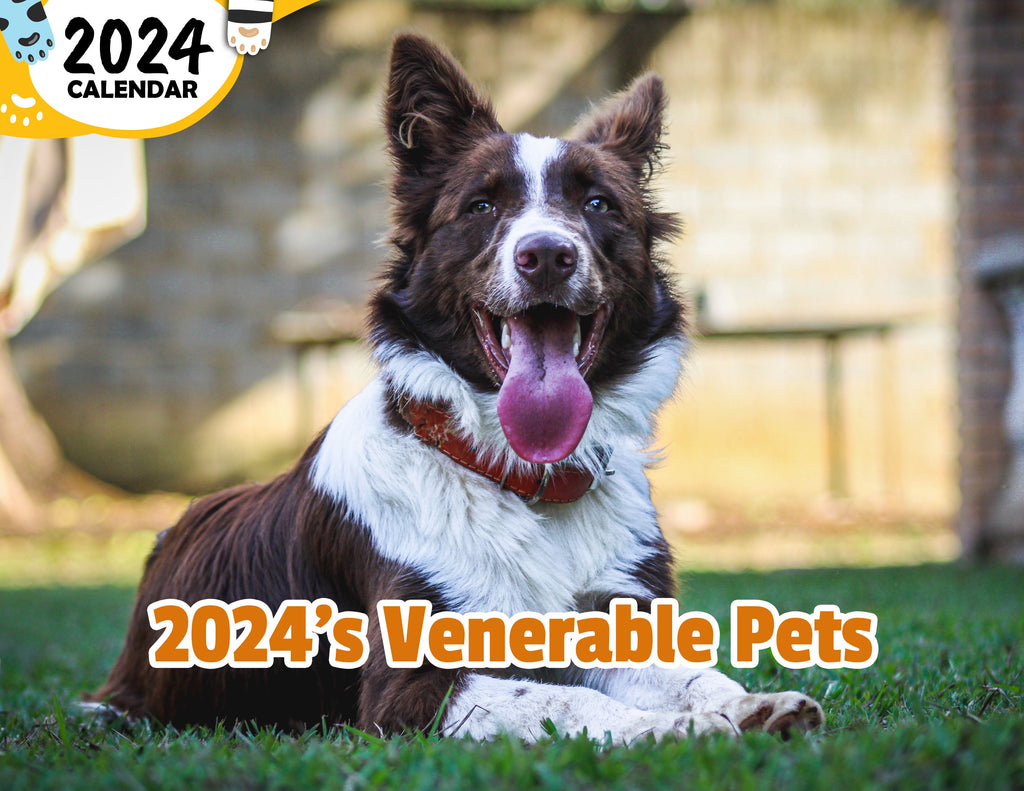2024's Venerable Pets: 2024 Wall Calendar (Published)