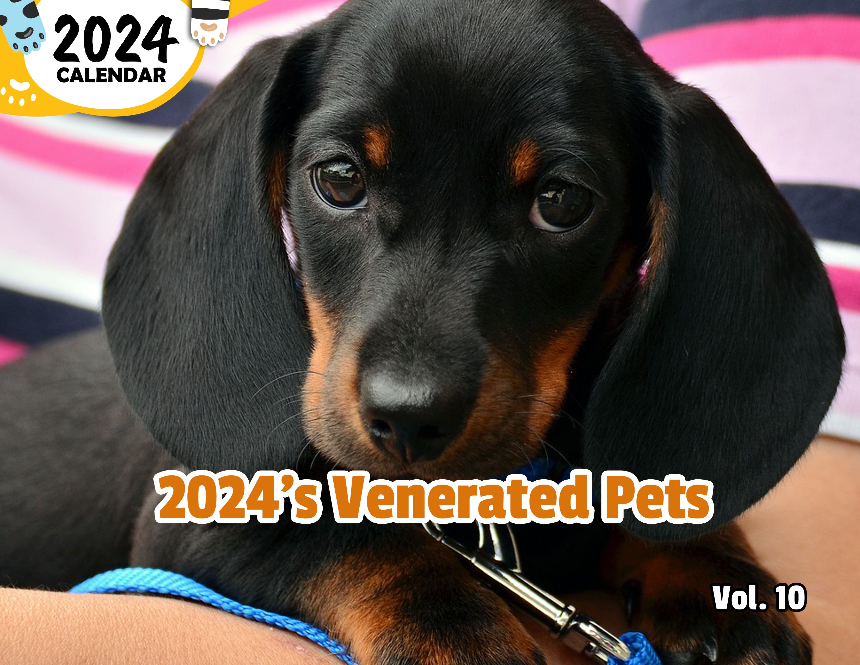 2024's Venerated Pets Volume Ten: 2024 Wall Calendar (Published)
