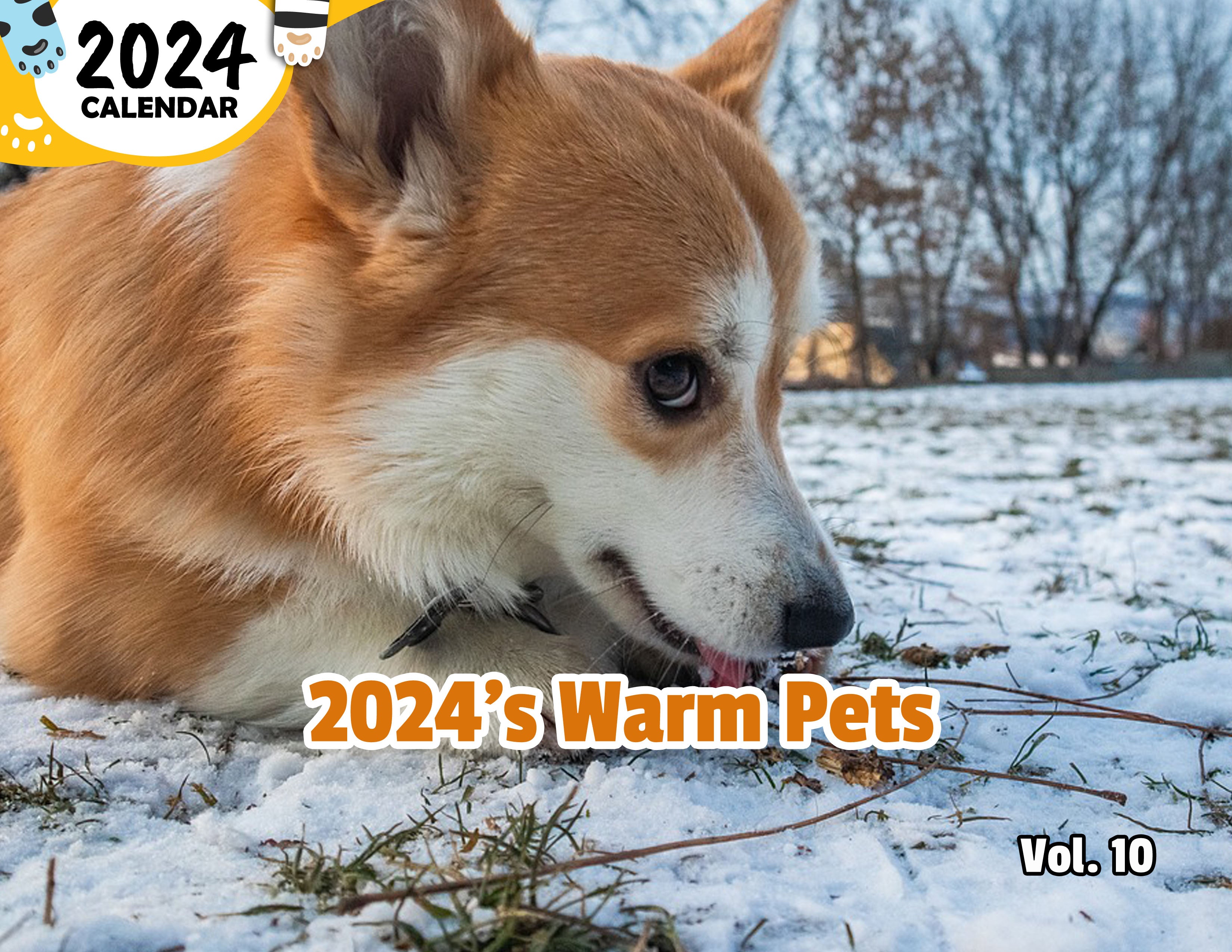 2024's Warm Pets Volume Ten: 2024 Wall Calendar (Published)