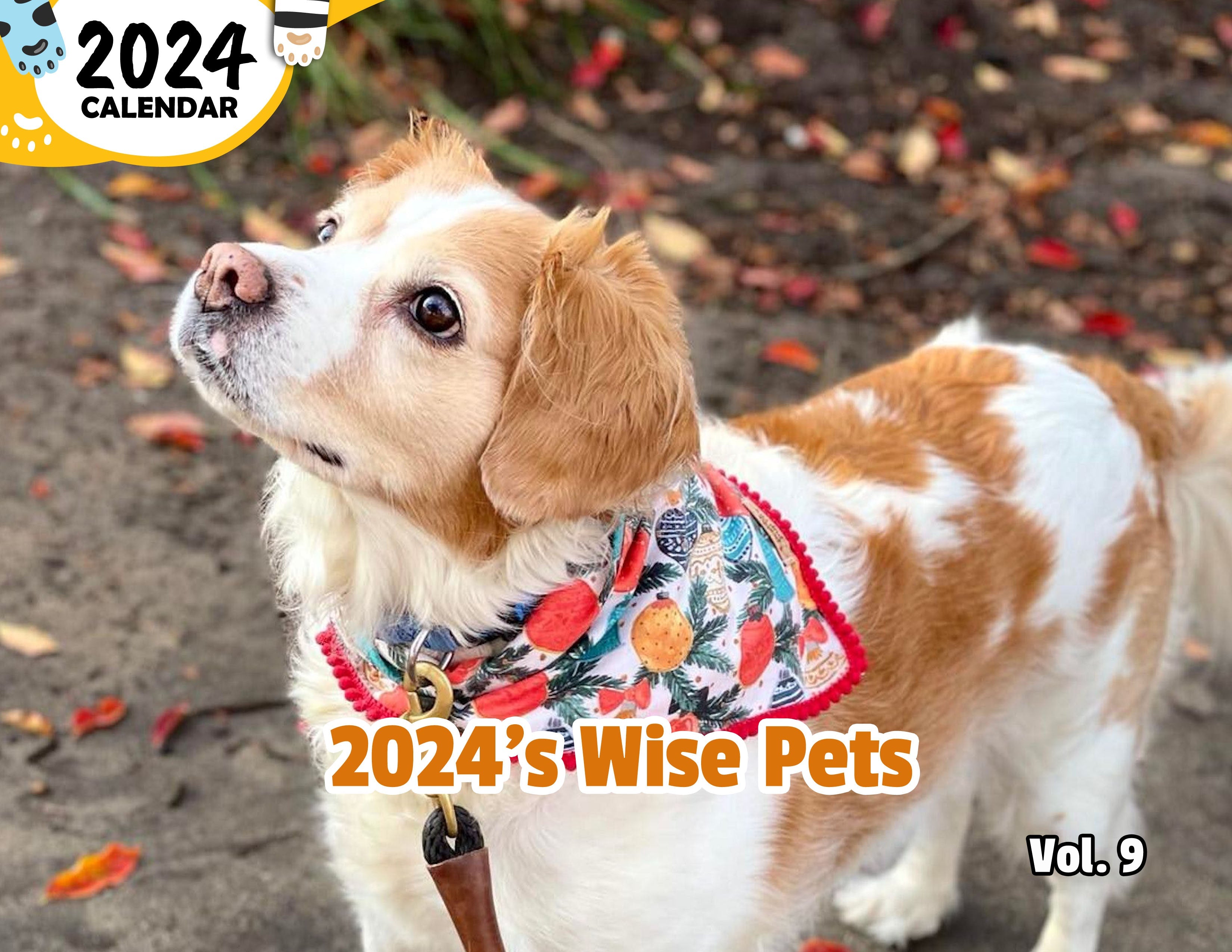 2024's Wise Pets Volume Nine: 2024 Wall Calendar (Published)