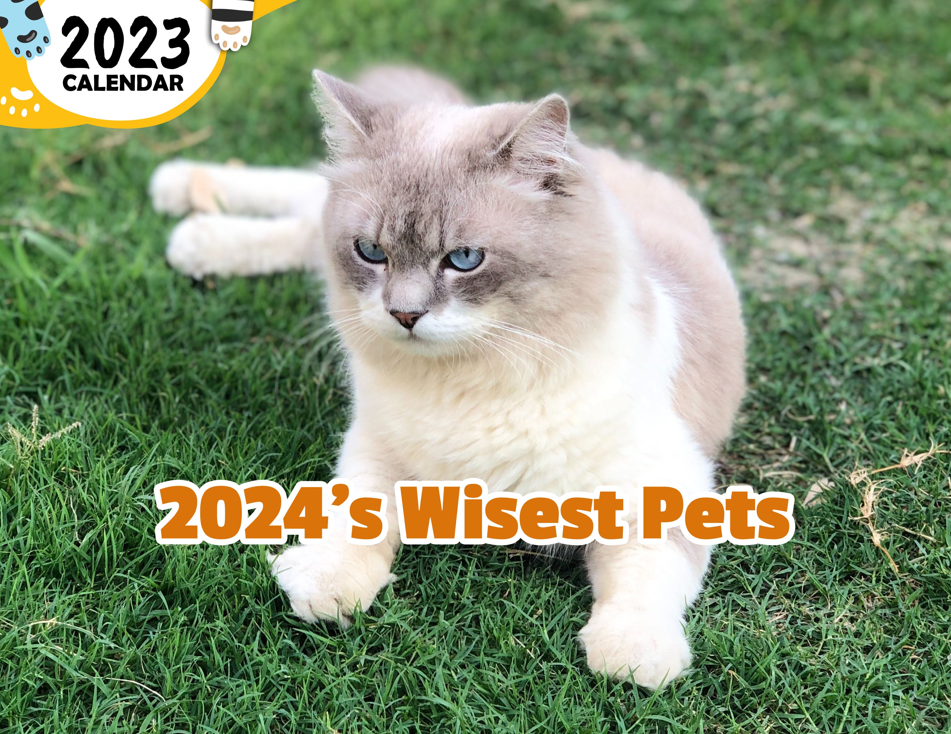 2024's Wisest Pets: 2024 Wall Calendar (Published)