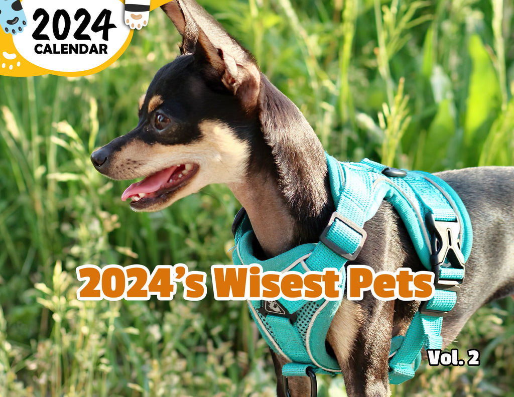 2024's Wisest Pets Volume Two: 2024 Wall Calendar (Published)