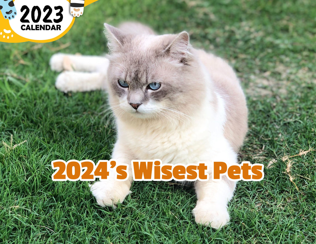 2024's Wisest Pets: 2024 Wall Calendar (Published)