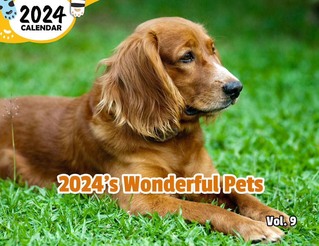 2024's Wonderful Pets Volume Nine: 2024 Wall Calendar (Published)