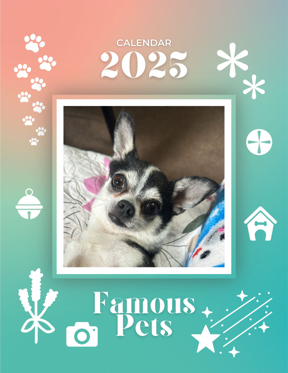 Praise My Pet Calendar 2025 Deva Muffin Praise My Pet Calendar 2025 November