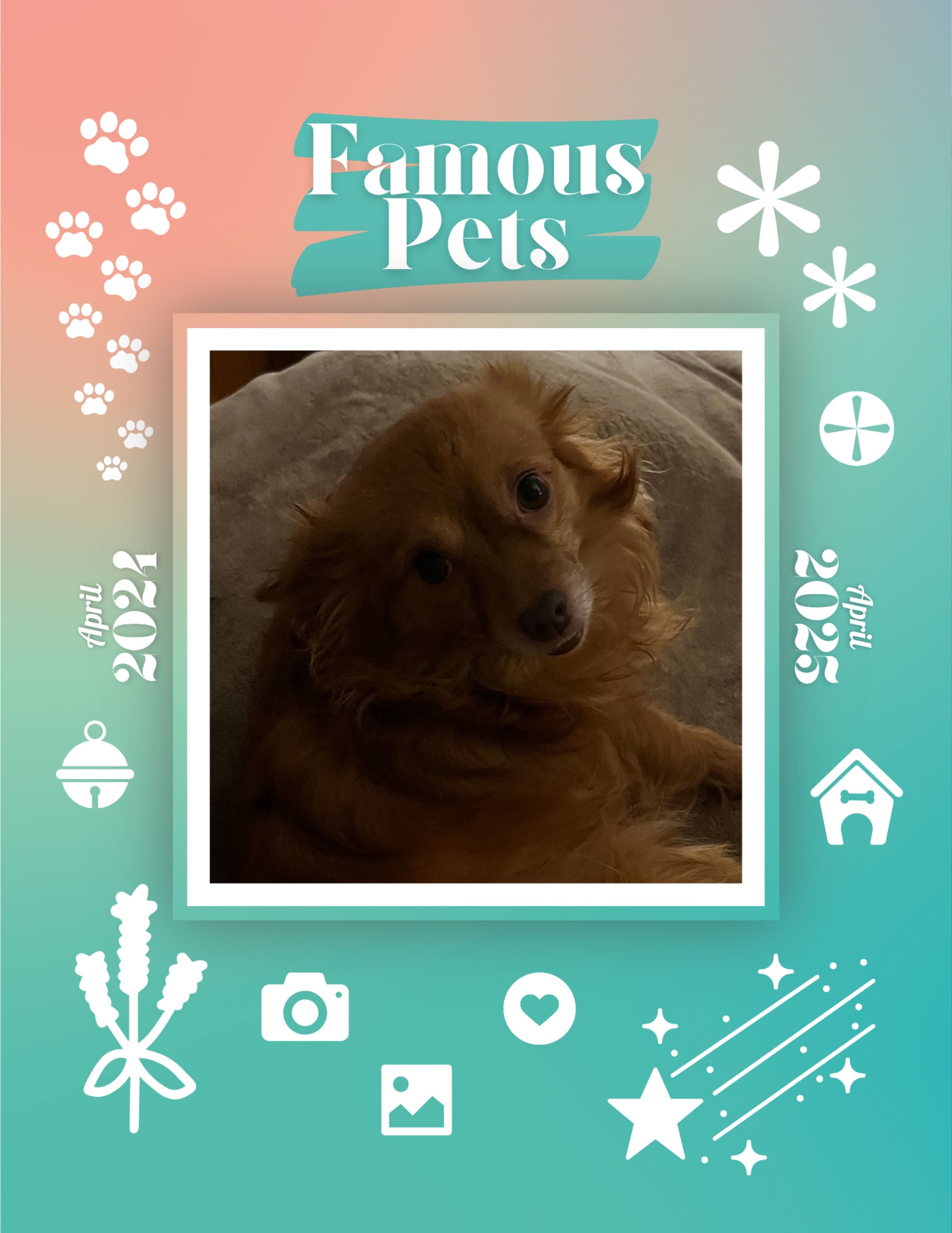 Praise My Pet Calendar 2025 Release Date Usa Candy Blakeley Praise My Pet Calendar 2025 November