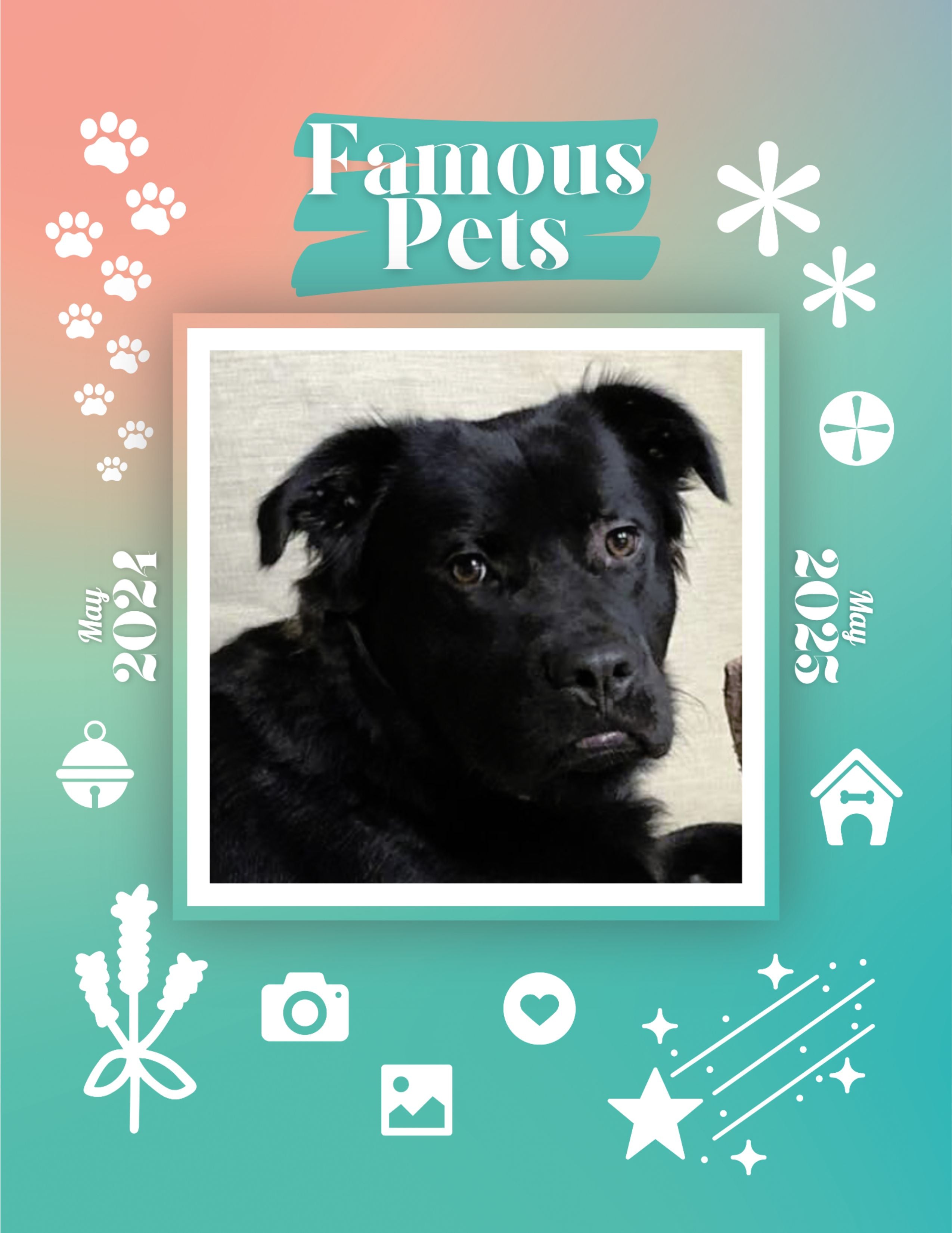 Famous Pets: May 2024-May 2025 Wall Calendar (Pre-Order)