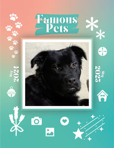 Famous Pets: May 2024-May 2025 Wall Calendar (Pre-Order)