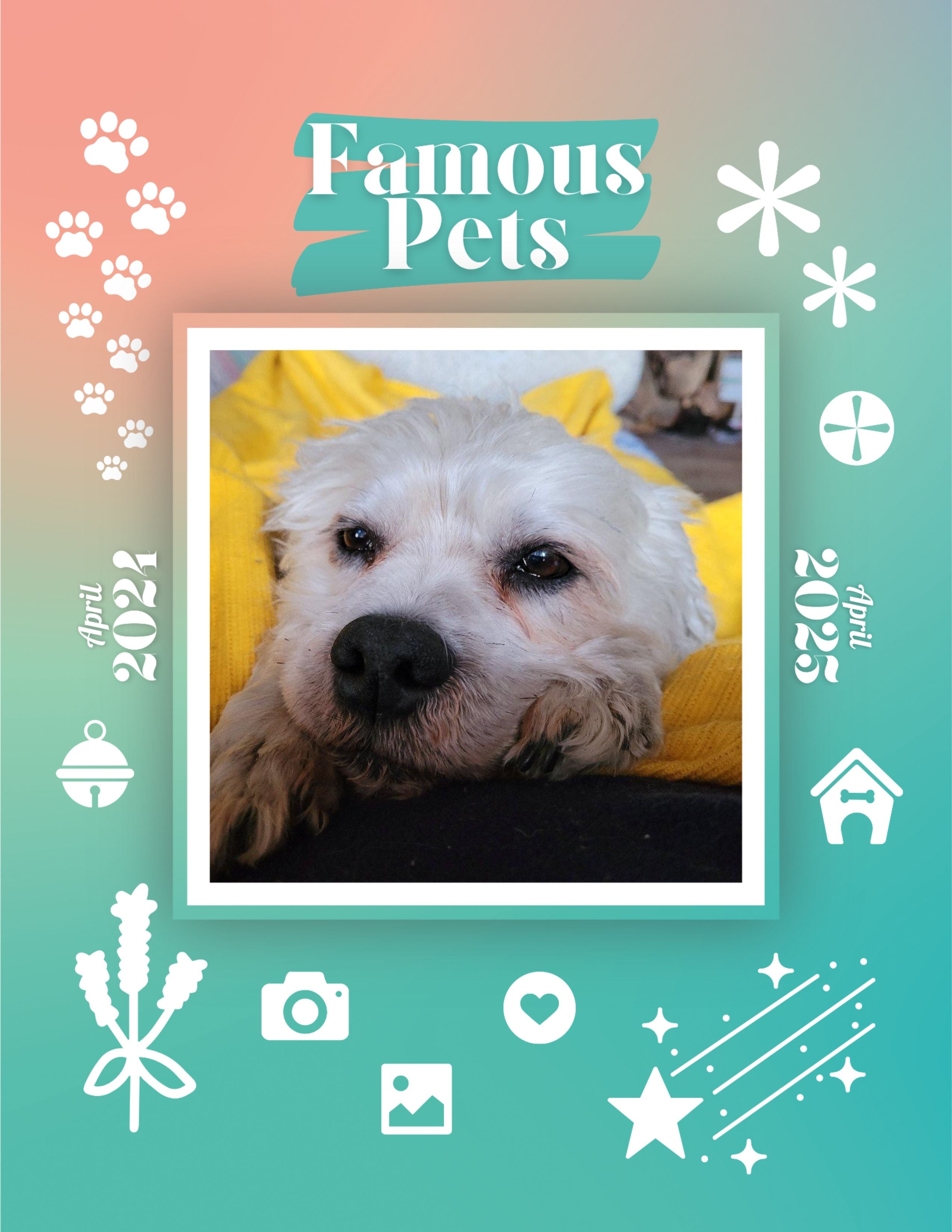 Praise My Pet Calendar 2024 Pictures Printable Alvira Marketa Praise My Pet Calendar 2025 November Printable