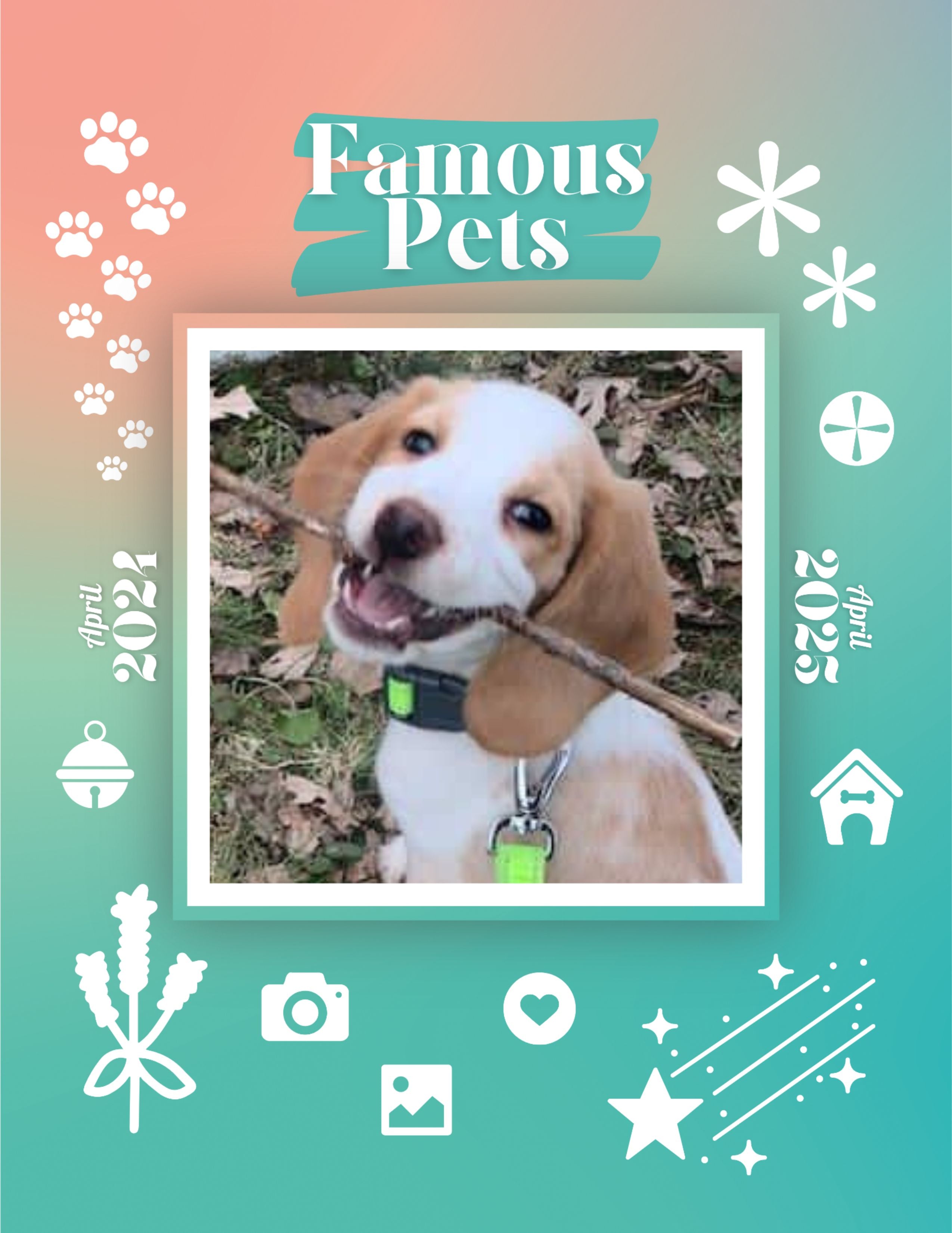 Famous Pets: April 2024-April 2025 Wall Calendar (Pre-Order) – Praise ...