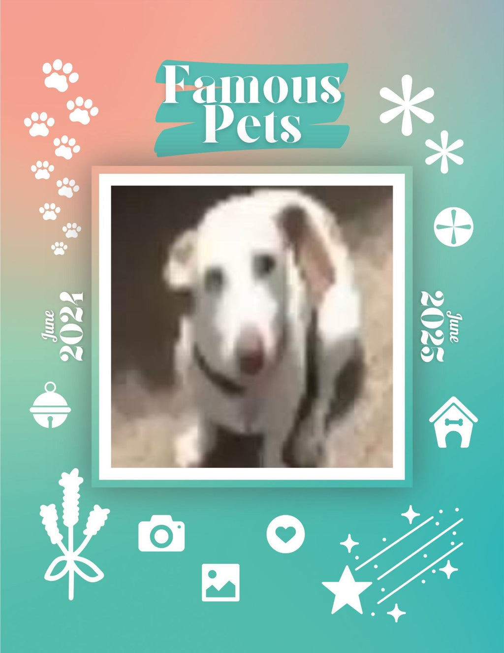Famous Pets: June 2024-June 2025 Wall Calendar (Pre-Order)