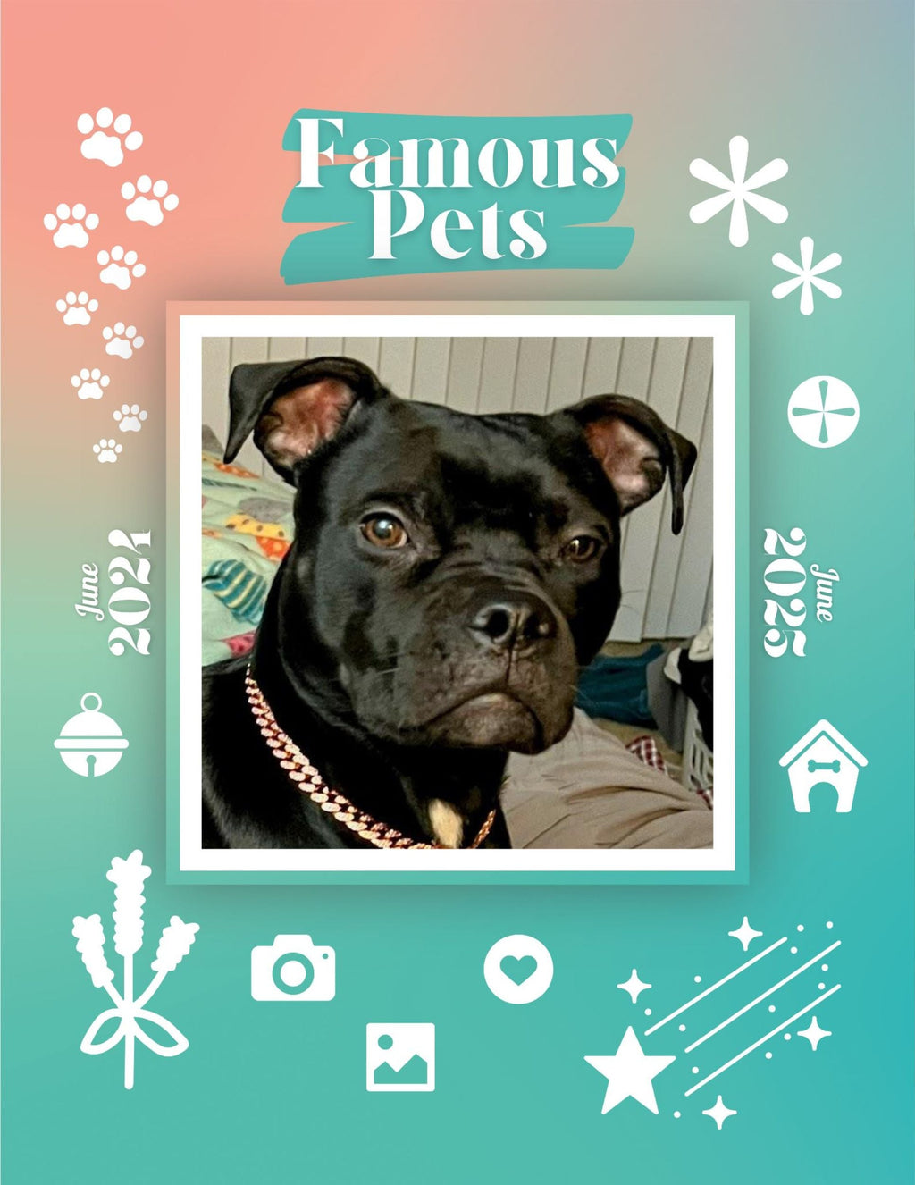 Famous Pets: June 2024-June 2025 Wall Calendar (Pre-Order)