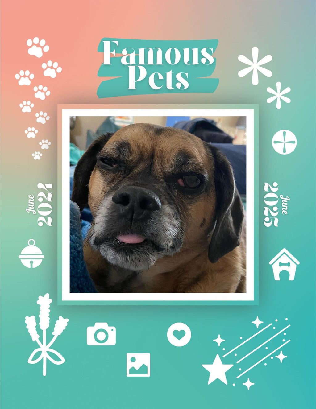 Famous Pets: June 2024-June 2025 Wall Calendar (Pre-Order)