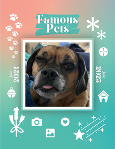 Famous Pets: June 2024-June 2025 Wall Calendar (Pre-Order)