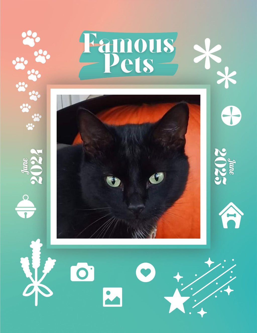 Famous Pets: June 2024-June 2025 Wall Calendar (Pre-Order)