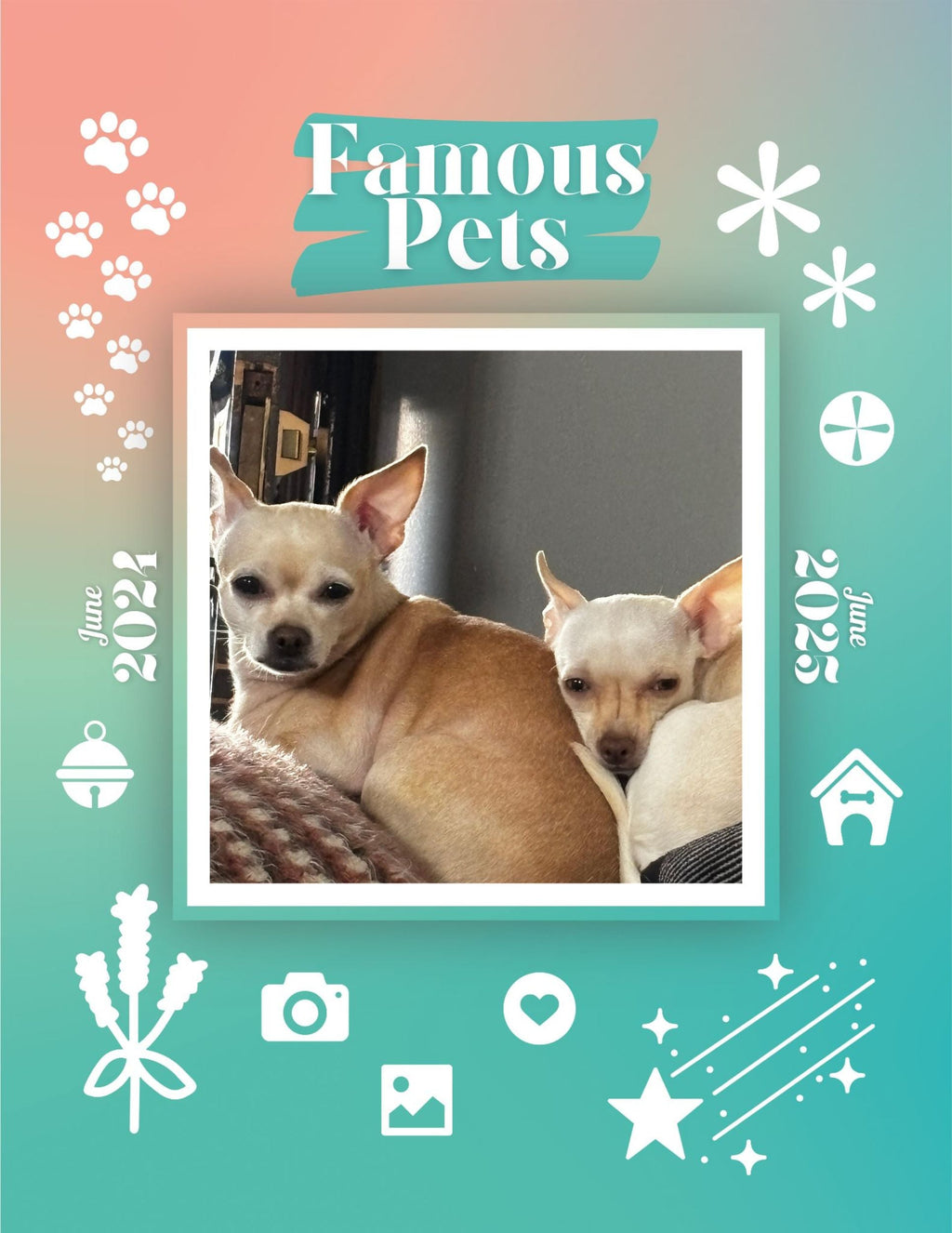 Famous Pets: June 2024-June 2025 Wall Calendar (Pre-Order)