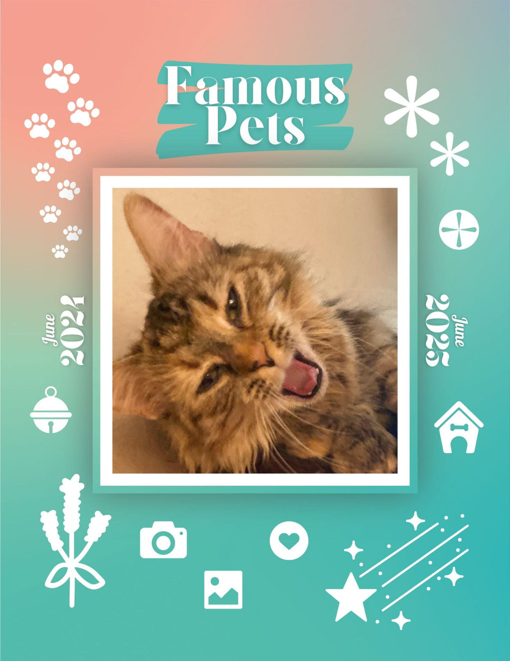 Famous Pets: June 2024-June 2025 Wall Calendar (Pre-Order)