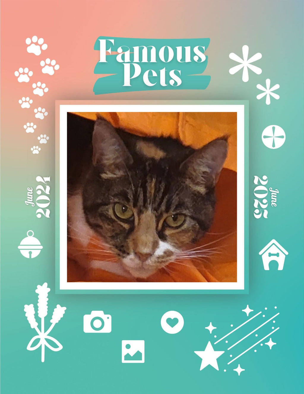 Famous Pets: June 2024-June 2025 Wall Calendar (Pre-Order)