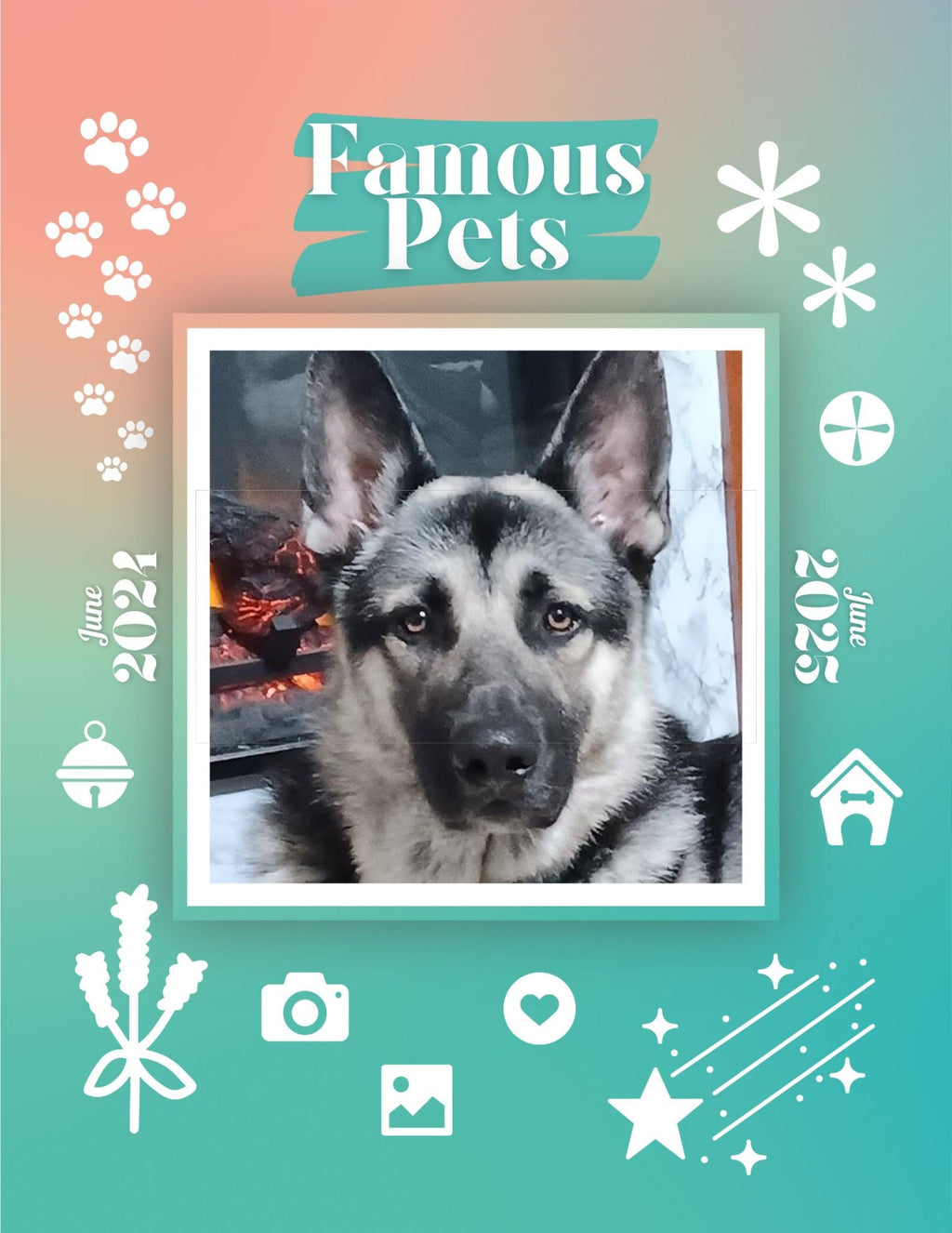 Famous Pets: June 2024-June 2025 Wall Calendar (Pre-Order)