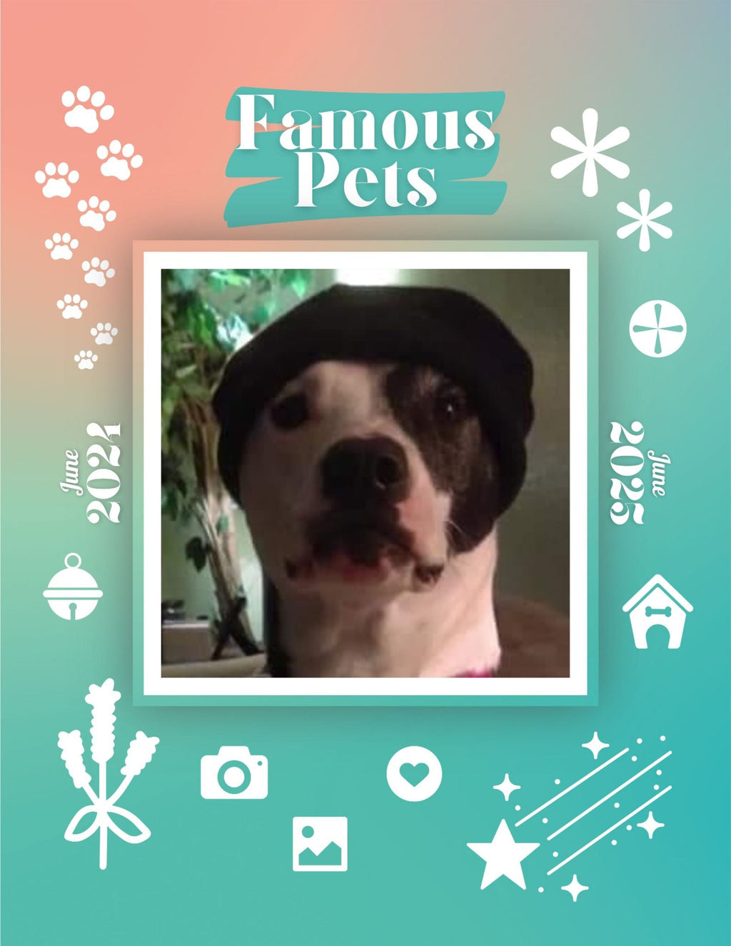 Famous Pets: June 2024-June 2025 Wall Calendar (Pre-Order)