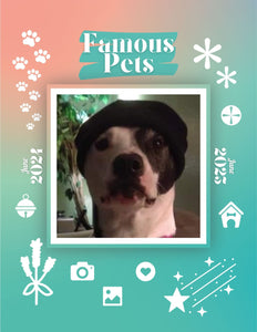 Famous Pets: June 2024-June 2025 Wall Calendar (Pre-Order)
