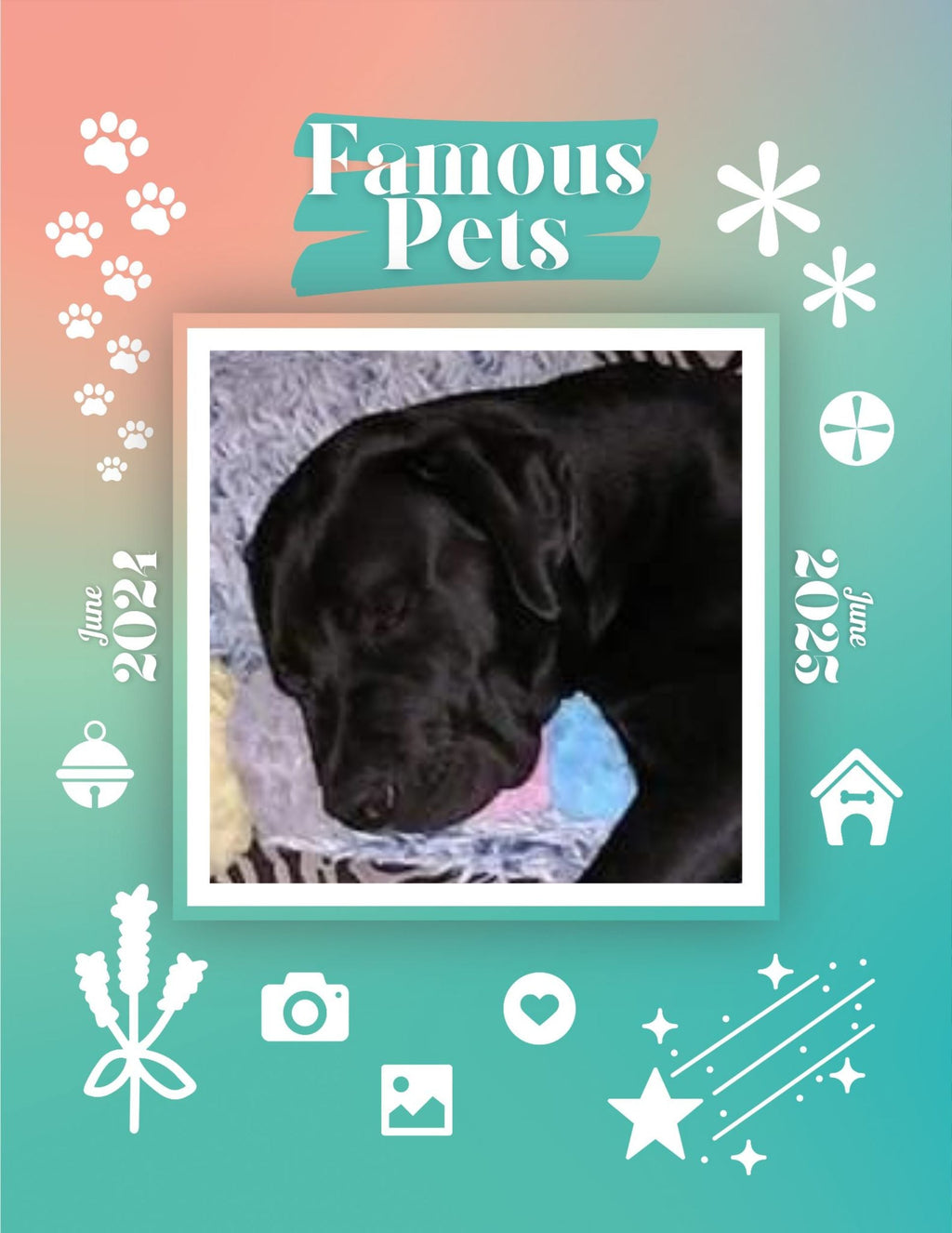 Famous Pets: June 2024-June 2025 Wall Calendar (Pre-Order)