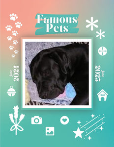 Famous Pets: June 2024-June 2025 Wall Calendar (Pre-Order)