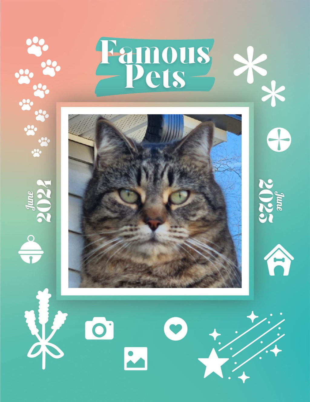 Famous Pets: June 2024-June 2025 Wall Calendar (Pre-Order)
