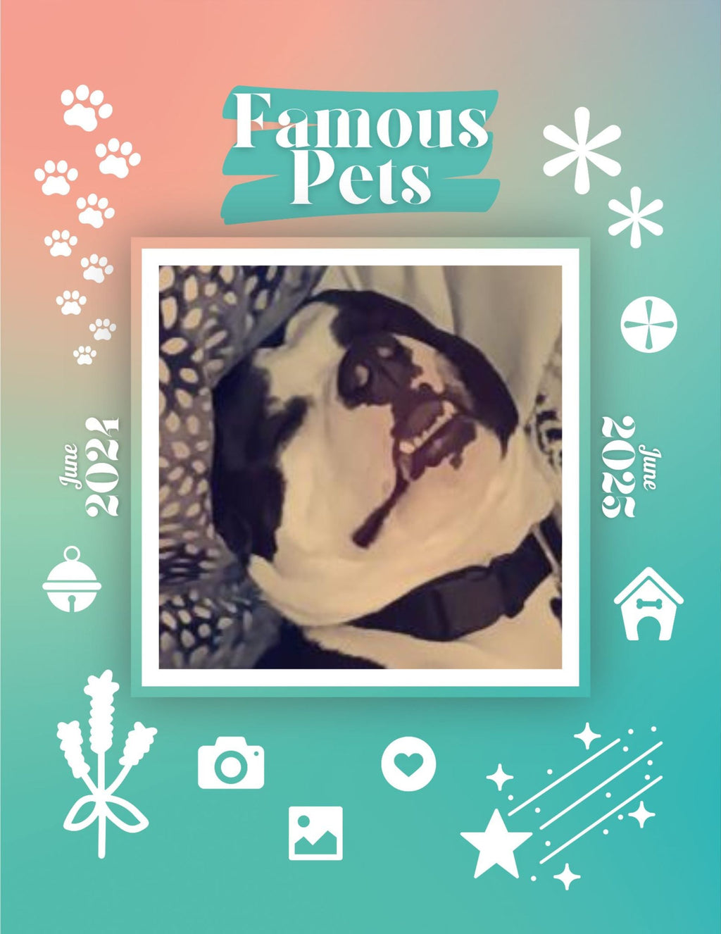 Famous Pets: June 2024-June 2025 Wall Calendar (Pre-Order)